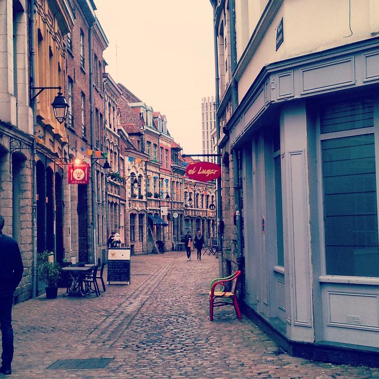 Lille Centre Ville, Beaux Arts Et Grand Palais, Bienvenue Chez Nestyou Lille Bagian luar foto