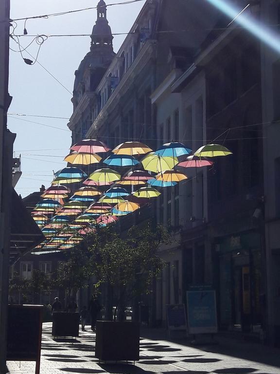 Lille Centre Ville, Beaux Arts Et Grand Palais, Bienvenue Chez Nestyou Lille Bagian luar foto