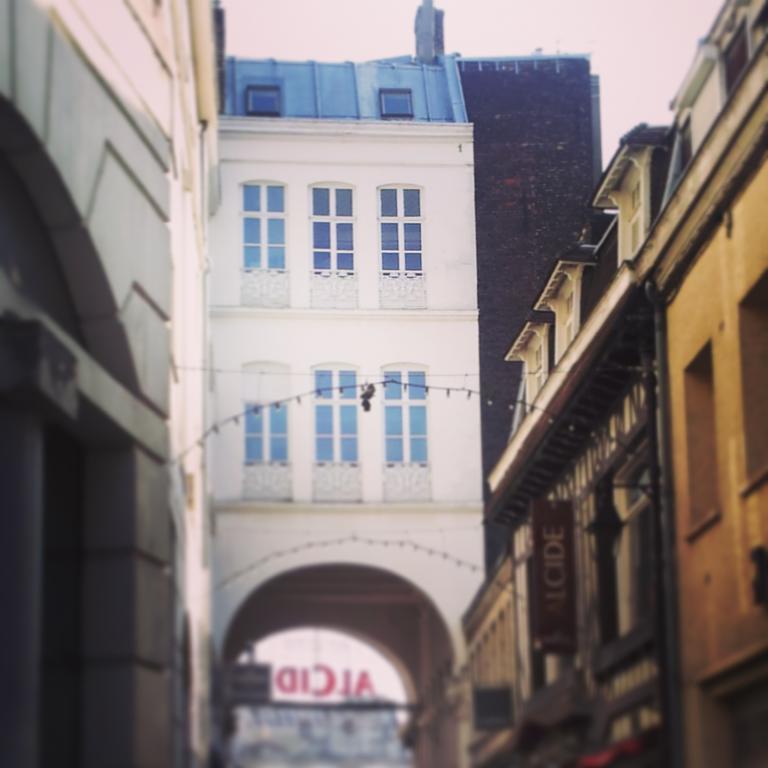 Lille Centre Ville, Beaux Arts Et Grand Palais, Bienvenue Chez Nestyou Lille Bagian luar foto