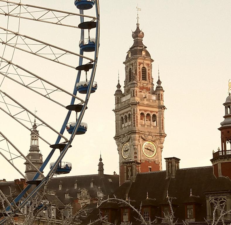 Lille Centre Ville, Beaux Arts Et Grand Palais, Bienvenue Chez Nestyou Lille Bagian luar foto